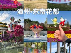 -东南花都花博园