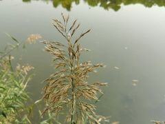 -圆明园停车场