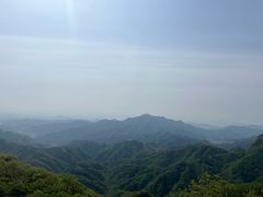 -六里坪国家森林公园