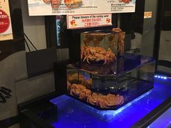 门面-蟹道乐(道顿堀本店)