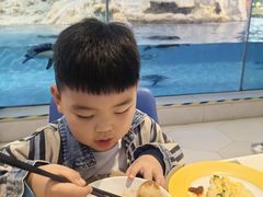 -帝企鹅自助餐厅•儿童岛•真企鹅(长隆企鹅酒店)