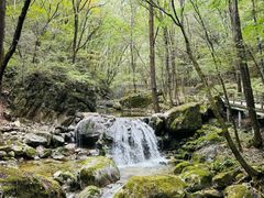 -牛背梁国家森林公园