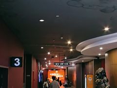 -卢米埃影城(长楹天街IMAX激光店)