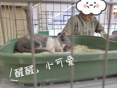 -吾悦广场(天津和平店)
