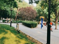-玲珑塔公园