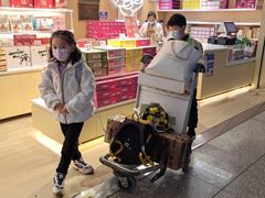 -潘祥记鲜花饼(昆明长水国际机场店)