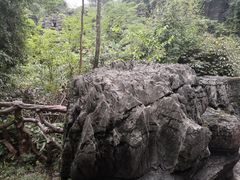 -梭布垭石林景区