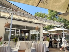 -芭厘·农庄老字号.电饭煲五指毛桃焗鸡