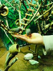 -Zoolung Zoolung动物主题公园(海信广场店)