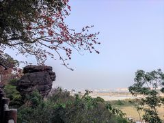 -广州莲花山旅游区