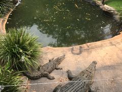 -可伦宾野生动物保护区