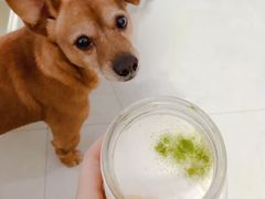-YUMI芽米·法式烘焙·咖啡(文化宫店)