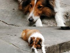 -地王国际商会中心