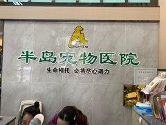 -半岛宠物医院24小时(科华中路店)