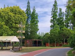 -上海长兴岛郊野公园
