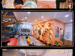 -BABIT巴比特宠物(MOMOPARK店)