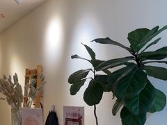 -左悦·艾灸调理·推拿按摩·精油SPA(卓悦汇店)
