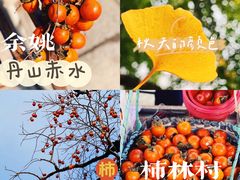 -丹山赤水风景名胜区