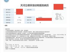 -立德动物医院·异宠·CT·鹦鹉(天河店)