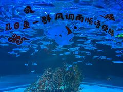 -正佳极地海洋世界