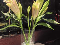 -都氏家DUSJOY(翡翠城店)