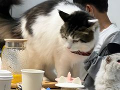 -小时光咖啡馆(北锣鼓巷店)