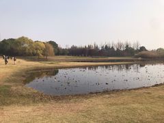 -金鸡湖大酒店·金咖啡厅(国宾路店)