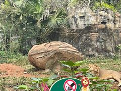 -海南热带野生动植物园