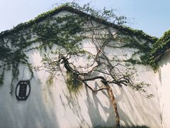 -拙政园