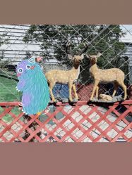 -萌宠亲子动物乐园(槐房万达店)