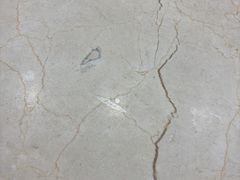 -永利汇(南一马路店)