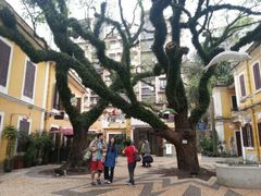 亞婆屋庭園-ALBERGUE 1601 婆仔屋葡国餐厅