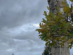 -亚龙湾中心广场