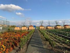 -上海崇明金茂凯悦酒店