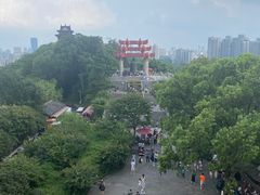 -黄鹤楼公园(黄鹤楼)