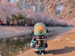 -望京西(地铁站)