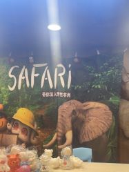 -卡通尼·Safari非洲探索乐园·生日会(金桥国际商业广场店)