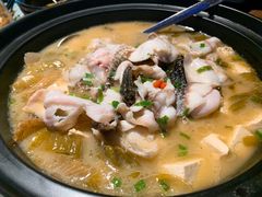 酸菜黑鱼煲-新悦·霞浦海鲜生(上下杭店)