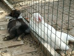 -意大利农场度假村