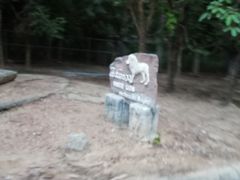 -清迈夜间动物园