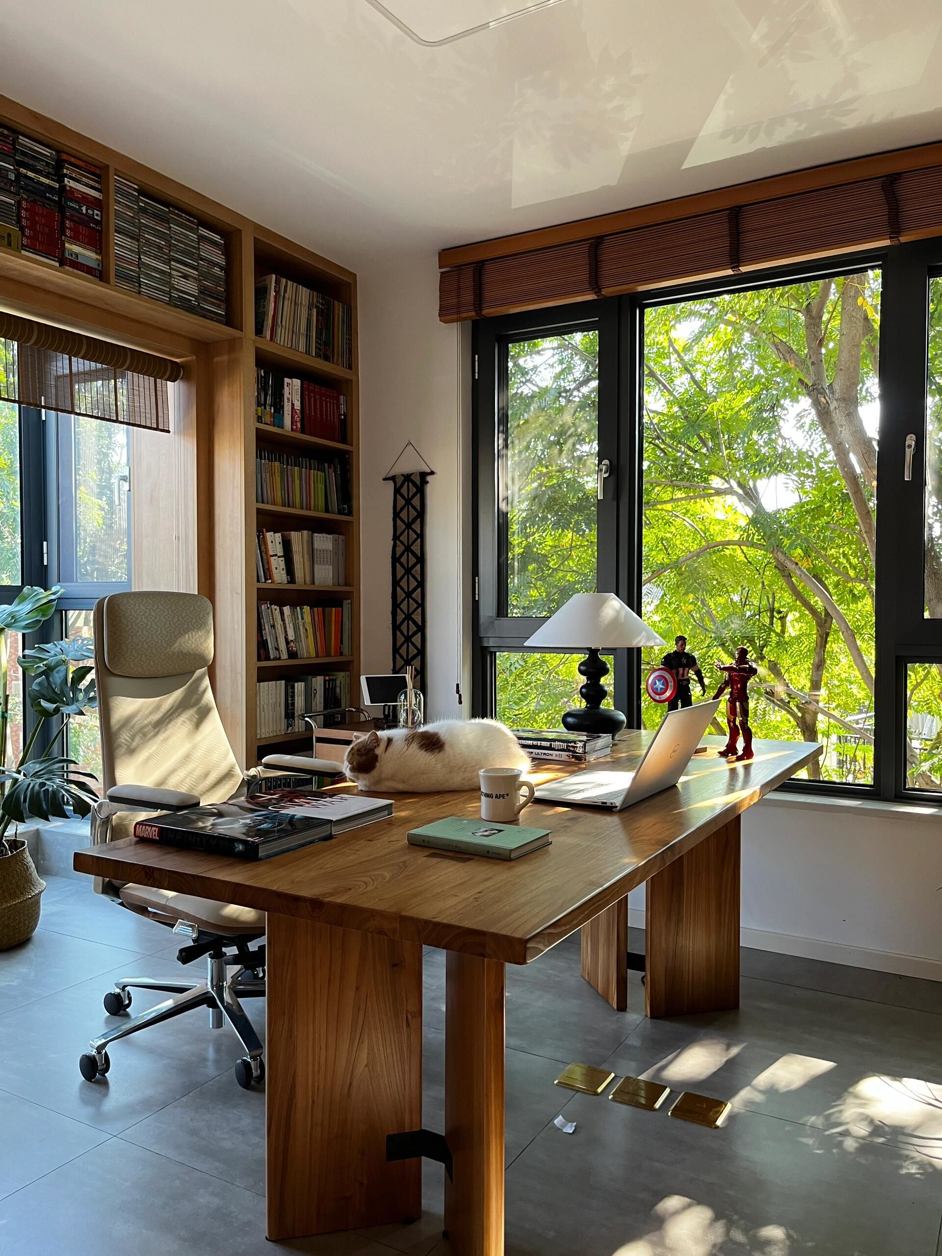 书房角落的悠闲时光