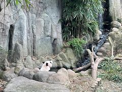 -河川生态园