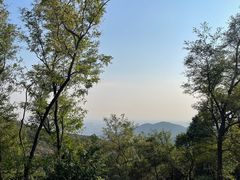 -北京西山国家森林公园