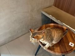 -Again Coffee Roaster(香蜜湖店)