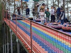 -前小桔亲子创意农场·草莓采摘·露营烧烤