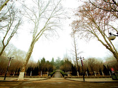 -山东大学(洪家楼校区)
