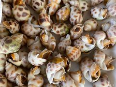 -美人鱼帆船海鲜餐厅(七星湾游艇会店)