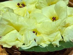 -银生食府·普洱菜(金星店)