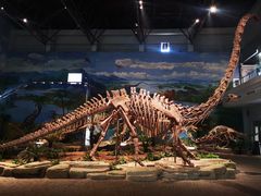 -自贡恐龙博物馆