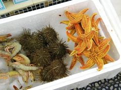 -海岛渔村大酒店(云霄路店)